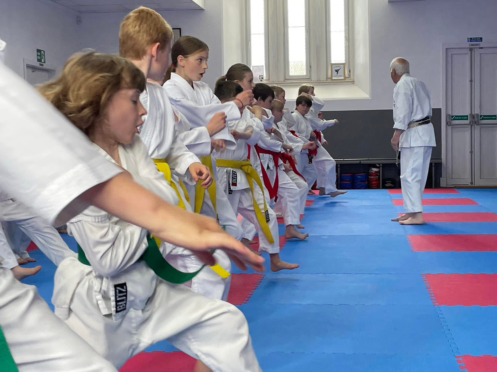 Karate beginners training